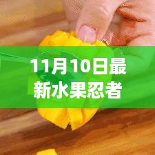 水果忍者的温馨日常，欢乐时光在11月10日