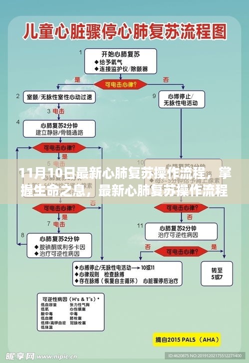 最新心肺复苏操作流程详解，掌握生命之息的学习之旅