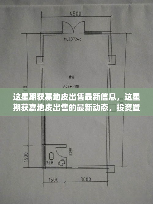 获嘉地皮出售最新动态，本周投资置业的黄金机会揭秘