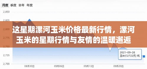 漯河玉米最新行情，星期行情与友情邂逅的温暖故事