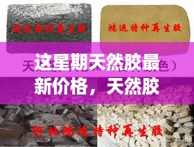 天然胶最新价格揭秘，橡胶情缘背后的温馨故事