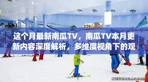 南瓜TV本月更新内容深度解析，多维度视角下的观点碰撞与探讨