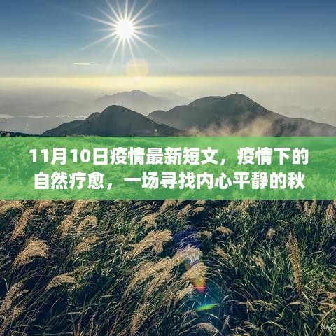 秋日之旅，疫情下的自然疗愈与内心平静的寻找——11月10日疫情最新短文