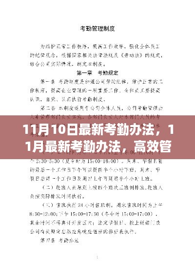 最新考勤办法分享，高效管理提升效率，小红书上的考勤之旅