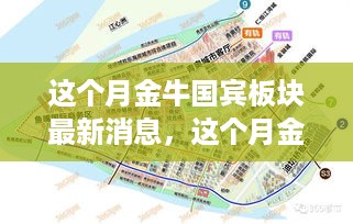 金牛国宾板块刷新认知，本月最新消息一览