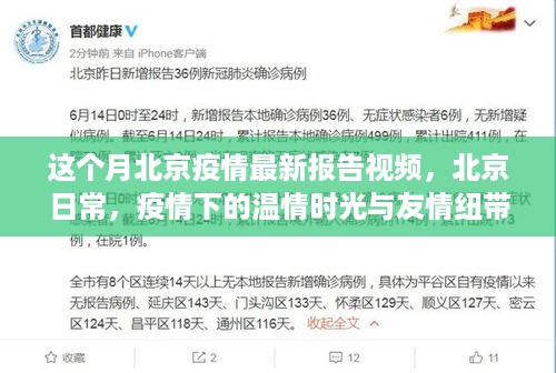 北京疫情最新报告视频，疫情下的温情时光与友情纽带