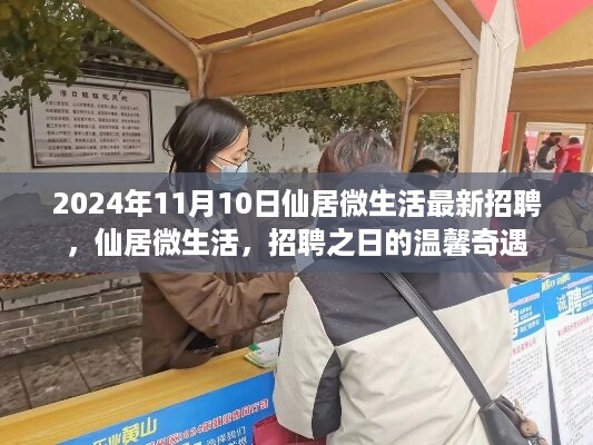 2024年仙居微生活招聘日，职场奇遇与人才的温馨邂逅