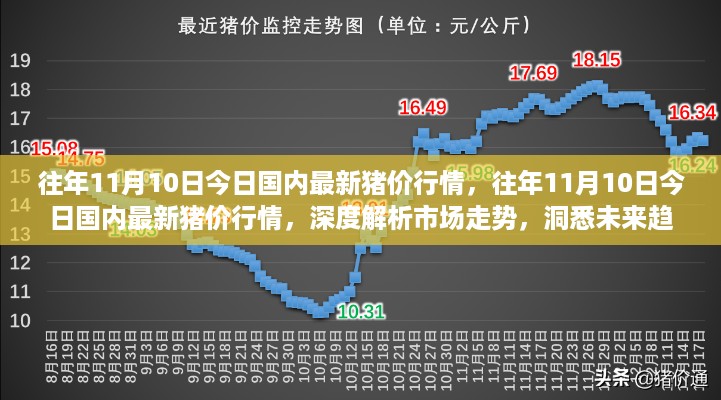 往年11月10日国内最新猪价行情解析，市场走势深度探讨与未来趋势洞悉