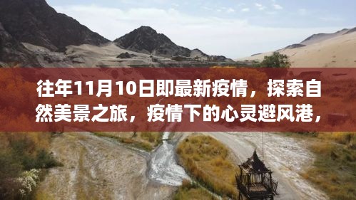 11月10日，疫情下的自然探索与心灵宁静之旅