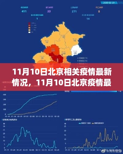 北京疫情最新动态，11月10日疫情分析与观点阐述