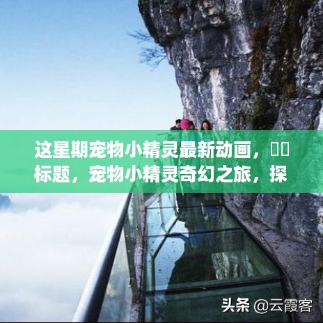 宠物小精灵奇幻之旅，探索自然秘境，重燃内心欢乐与宁静的冒险篇章