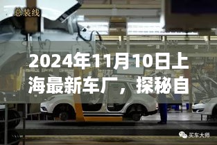 探秘自然秘境，上海最新车厂的绿色之旅纪实（2024年11月）