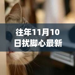 往年11月10日，自然探索之旅的扰脚心体验