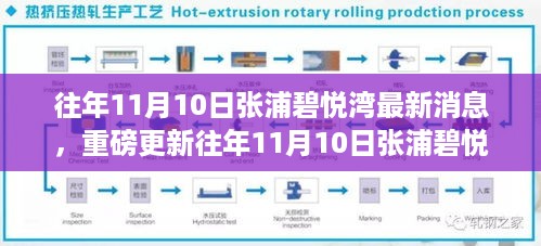 往年11月10日张浦碧悦湾最新消息解析与重磅更新揭秘