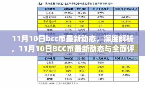 BCC币最新动态深度解析及全面评测（日期标注版）