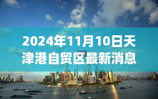 天津港自贸区最新动态及未来展望，聚焦最新消息与多方观点分析（2024年11月）