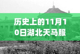 历史上的今天，湖北天马服饰引领变革之风，激励拥抱学习与变化的力量，最新报道出炉！