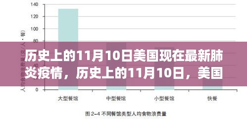 历史上的11月10日与美国最新肺炎疫情深度解析与现状报告