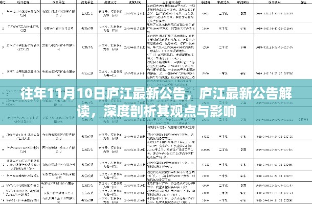 庐江最新公告解读，深度剖析观点与影响