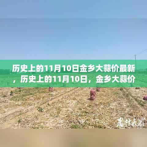 文质彬彬 第24页