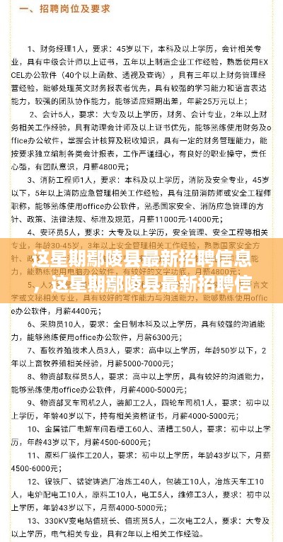 鄢陵县最新招聘信息本周概览与解析