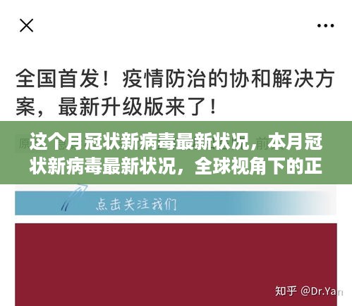 本月冠状病毒全球视角的最新状况与正反观点分析