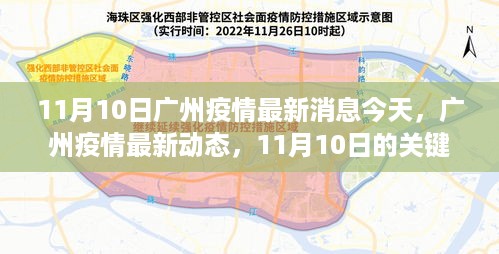 广州疫情最新动态，11月10日关键信息解读及最新动态更新