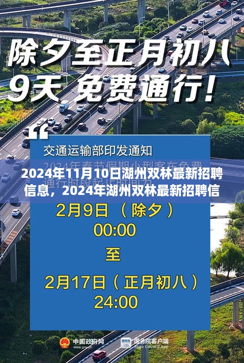 湖州双林最新招聘信息汇总与展望（2024年11月版）