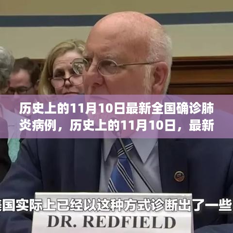 历史上的11月10日，全国最新确诊肺炎病例深度解析与回顾