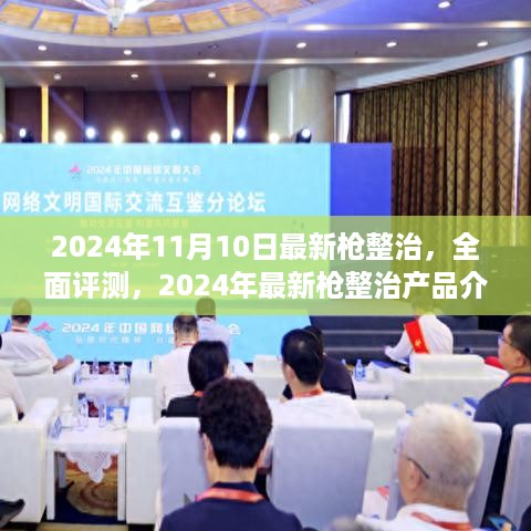 2024年最新枪支整治深度解析与全面评测