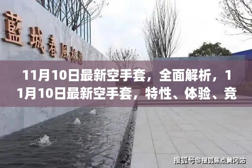 11月10日最新空手套全面解析，特性、体验、竞品对比及用户群体深度剖析