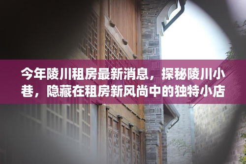 陵川租房新风尚揭秘，独特小店故事与小巷探秘