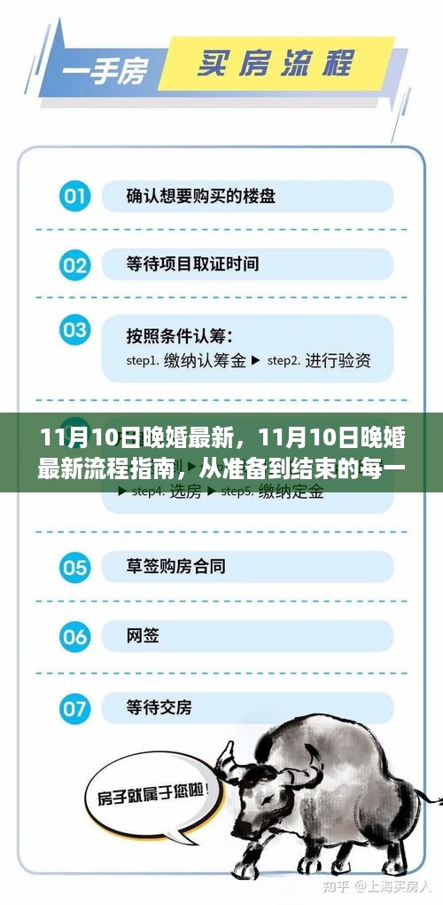 11月10日晚婚最新流程指南，从准备到结束的全方位指南