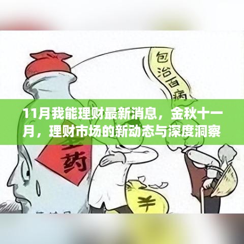 金秋十一月理财市场新动态与深度洞察，最新消息与市场洞察