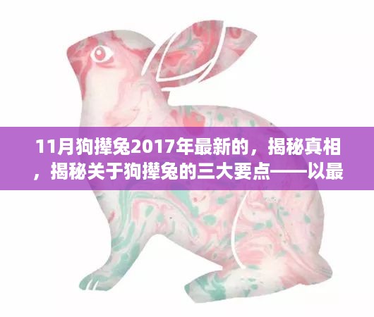 揭秘真相，揭秘关于狗撵兔的三大要点——以最新事件为例（2017年11月版）