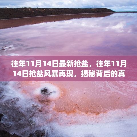 揭秘往年11月14日抢盐风暴背后的真相与应对策略