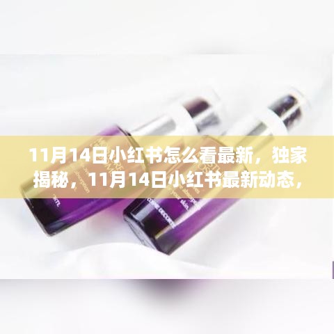 独家揭秘，11月14日小红书最新动态，时尚潮流一网打尽！