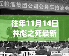 揭秘林彪之死，历年11月14日的最新消息与深度探究