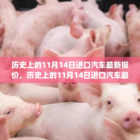 历史上的11月14日进口汽车报价概览及最新分析