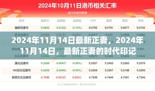 最新正妻的时代印记，2024年11月14日的见证