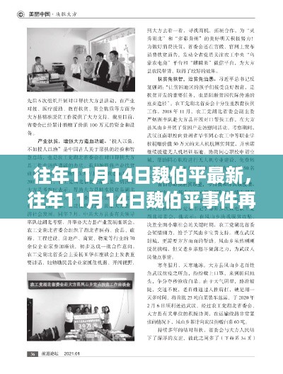 深入解析，魏伯平事件再探讨——以某一观点为中心