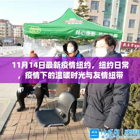 纽约疫情下的温暖时光与友情纽带，日常实录（11月14日更新）