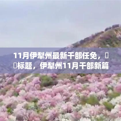 伊犁州11月干部任免新篇，自然之旅与内心平静秘境探寻的召唤