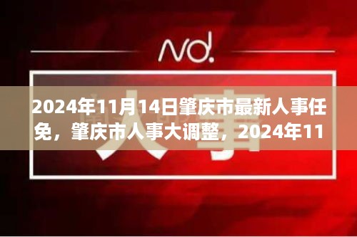 肇庆市人事大调整，最新人事任免揭晓，开启崭新篇章