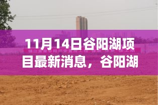 谷阳湖项目最新动态深度解析，11月14日最新消息揭秘