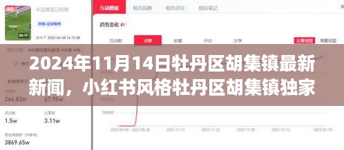 牡丹区胡集镇最新新闻快报，揭秘胡集镇新风貌（2024年11月14日小红书独家报道）