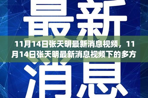 张天明最新消息视频，多方观点碰撞与个人立场探讨