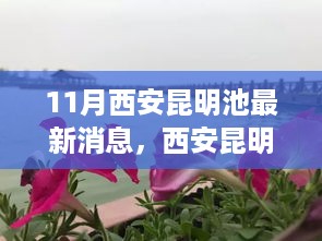 11月西安昆明池畔的励志之旅，最新动态与学习变革