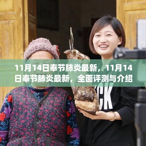 11月14日奉节肺炎最新动态，全面评测与详细介绍