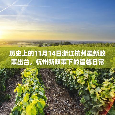 杭州新政策出台，温馨日常与欢乐聚会的开启日（11月14日）